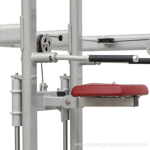 Pro sport equipment indoor assist dip chin machine